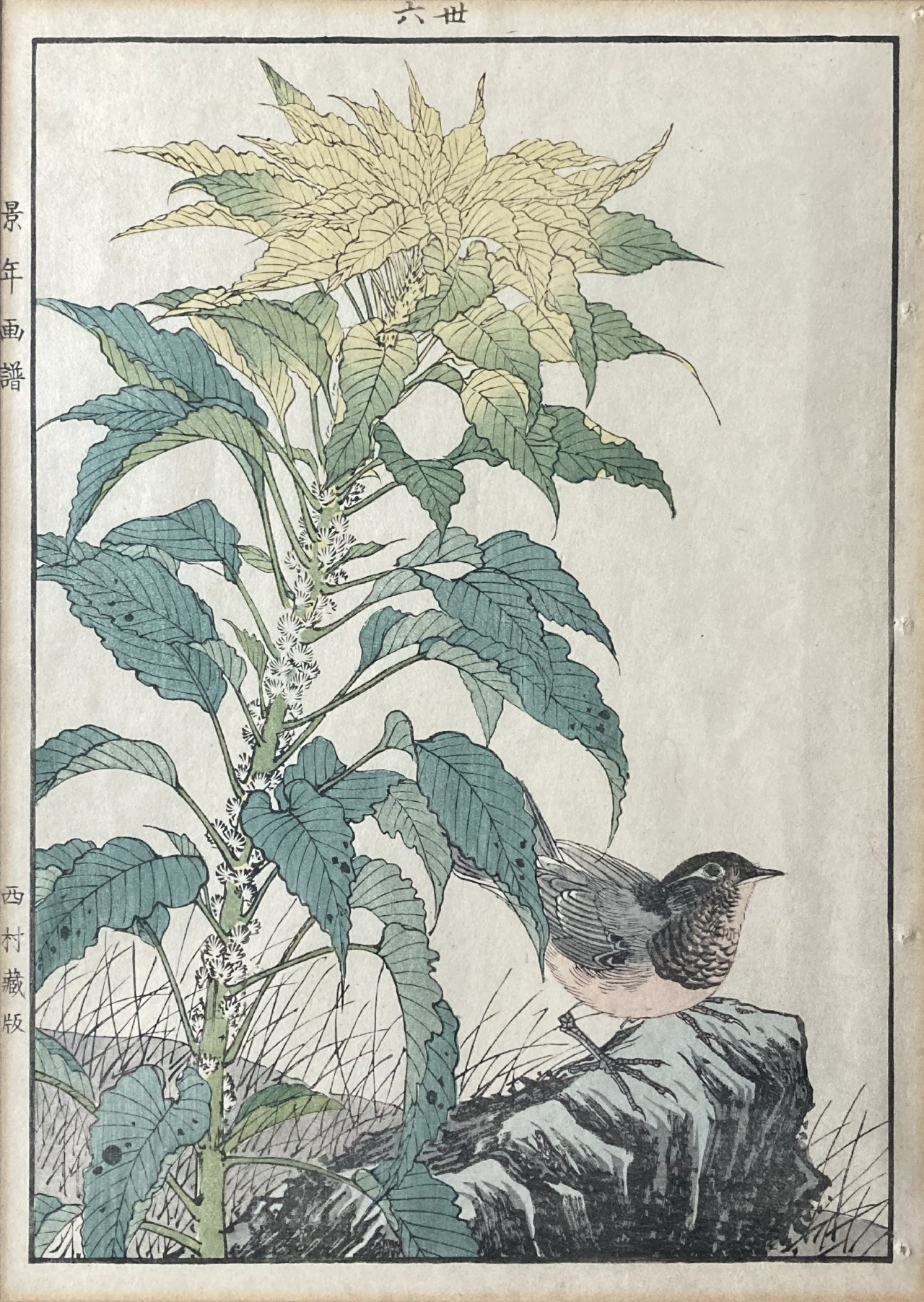 Sheet by Imao Keinen (1855-1924)