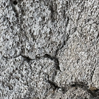 Detail 1: Poröse Struktur (Spongiosa)