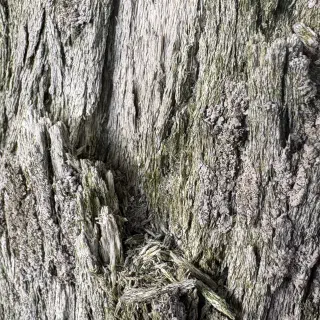 Detail 2: Fasern